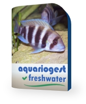 Buy and Download AquarioGest Now