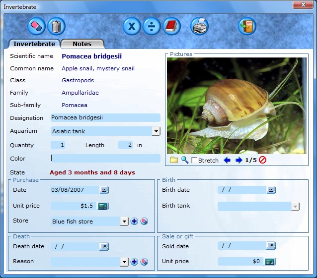 Follow your aquarium invertebrates