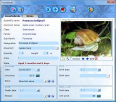 Invertebrates management